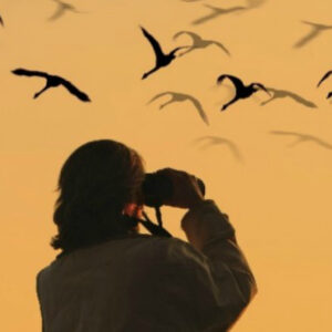 Bird Watching in Kashmir